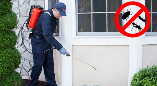 Çaybaşı Kene İlaçlama böcek ilaçlama ve haşere kontrolü — ilaclama-tr.com